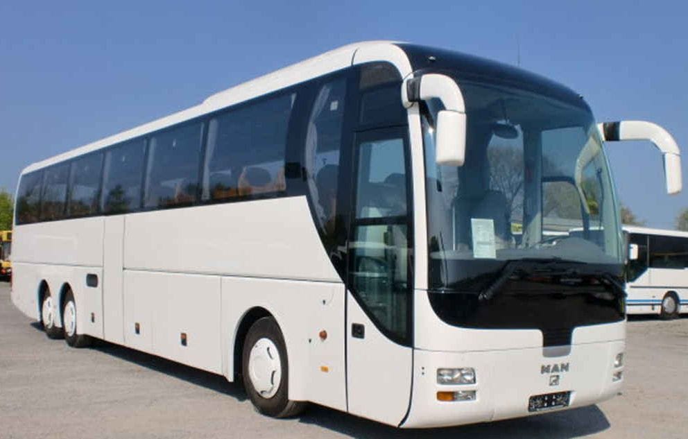 bus