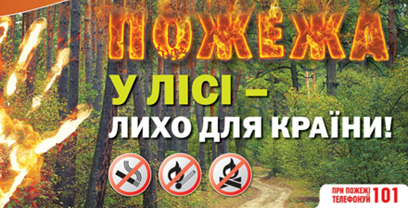 pozhezhna bezpeka v lisi
