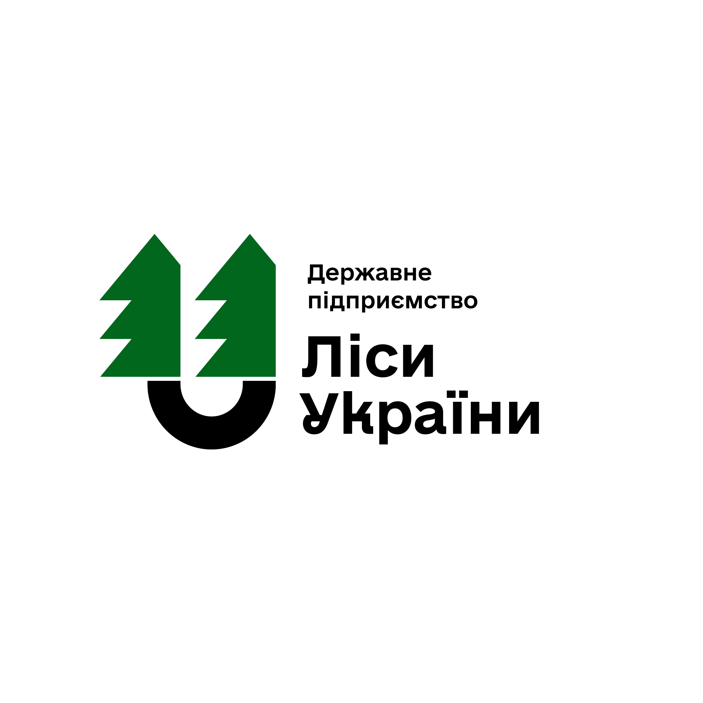BIG Logo Lisy 