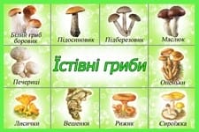 Gribu 01